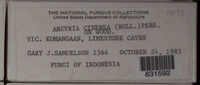 Image Associated With the Occurence